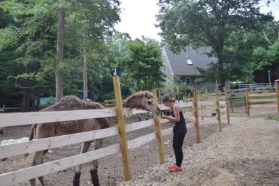 Melissa Sylvia pets one of the camels. Photos by Kat Sheridan