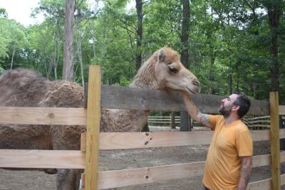 Randy Moitosm pets one of the camels. 