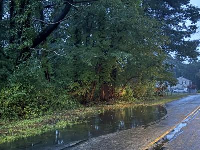 A puddle in the road. 