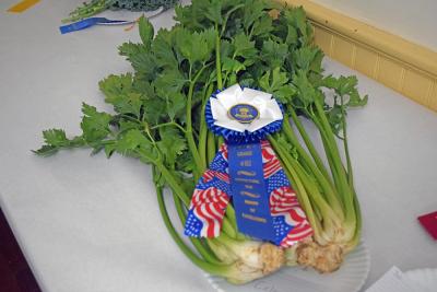 The award winning celery. 