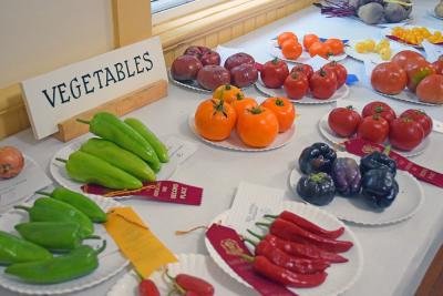 Produce displayed to be judged. Photos by Kat Sheridan