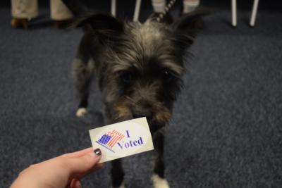 Some of those who visited the polls weren't even human!