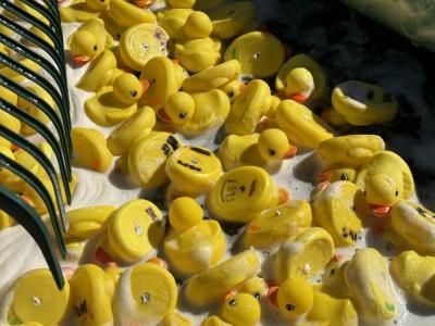 There were 1,469 rubber ducks. 