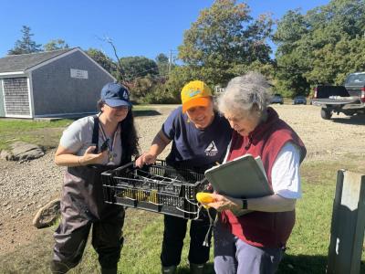 Members of the Mass Audubon Society match the ducks to the people who sponsored them. 