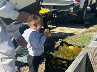 Sunniya enjoys the thousands of ducks. 