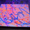 Dartmouth Week - Dartmouth, MA news