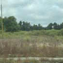The plot of land on State Road. Photo by Kat Sheridan l