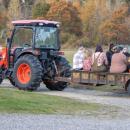 Heading out on a hay ride around the vineyard. o