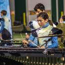 A percussionist. d