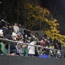 The crowd watches the game.