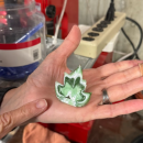 A piece of murrini end. 