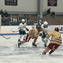 A fight for the puck.