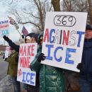 A number of signs protesting I.C.E.