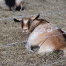 Why are you taking my picture?