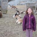 Gabriela Gouveia, 7, poses with goats.