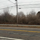 A street view of where Sherbrooke Farms would be built. 