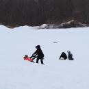 Kids sled down the hill behind town hall. 