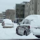 Cars snowed in at UMass Dartmouth.