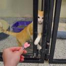 Conie was eager to come out and play.