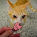 Conie investigates a heart.