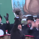 Punxsutawney Phil predicts 6 more weeks of winter. Source: AP News