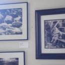 Photos taken on a film camera. 