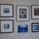 Jill Law's cyanotype pictures. 