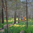 Guests of all ages enjoy wandering the paths. Photos by Kat Sheridan