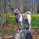Billy poses in front of the fields. 