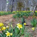 Parson's Reserve has been around since World War II. 