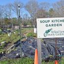 The Soup Kitchen Garden has begun to grow. 