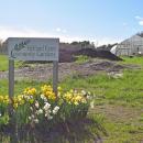 Helfand Farm. Photos by Kat Sheridan