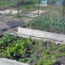 A very successful plot. 