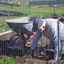 Dan Patten of New Bedford begins weeding his plot. 