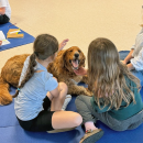 Enzo is thrilled as Vivian Amaral, age 9 and Layla Kruz, age 9 pet him. 