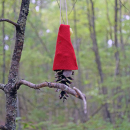 A gnome hangs behind a branch. 