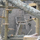 The wooden rope ladder. 
