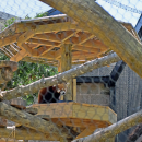 Jacob the red panda using his sun cover to eat some lunch.