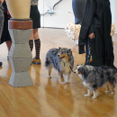 Even dogs came to enjoy their owners art. 