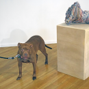 A dog discovered the joy of art. 