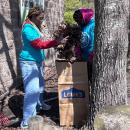 Youth Day of Caring
