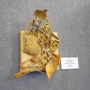Medyn often uses milkweed in her pieces.