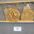 A hive with a freeform and spiral wax structure. 