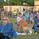 Kathra Pierson's dog wasn't as keen on the music as he was getting pet. 