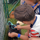 Jospeh Cetola, age 5, dresses up a bunny. 