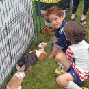 Benjamin Cetola, 6, and Joseph Cetola, 5, pet the guinea pigs. 