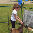Brooklyn Leonard, 8, pets one of the goats. 