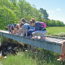 The group looks for creatures in the water. Photos by Kat Sheridan