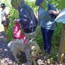 A passing group had a dog, who was as excited as the hikers to see each other. 