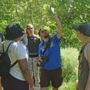 Elliot Henderson describes the grape plant. 